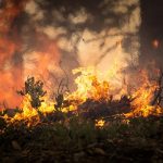 POŽAR KOD DOBOJA: Izgorjeli sijeno i slama