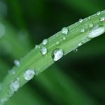 Meteorolozi objavili prognozu za narednu sedmicu