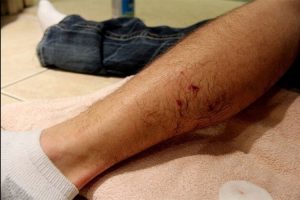 20200610181509_603944