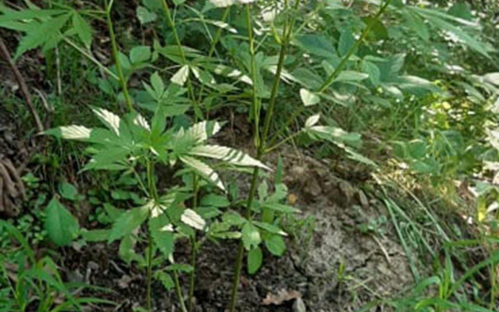 106991679_322114455470638_5159447042353729869_n