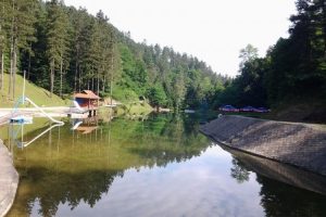 20200706145021_608829