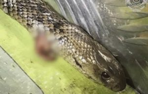 20200715203034_610735