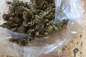 laboratorija-skank-2