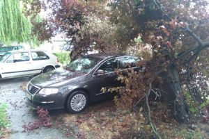 20200804144017_614186