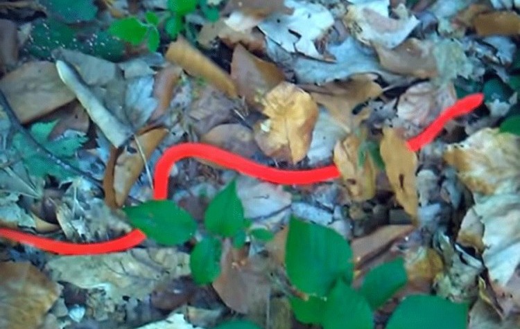 20200910191834_620741