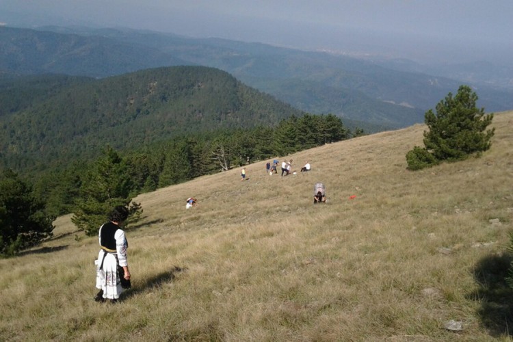 20200911124026939446