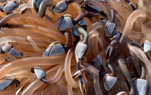 20200912190423_621063