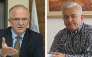 cavic-cubrilovic-872x610