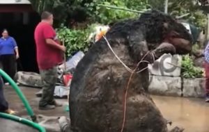 20201007205513_625270