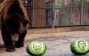 20201103162049_629826