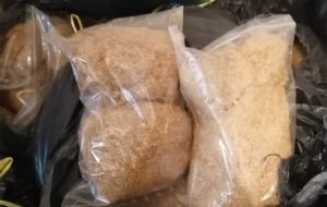 20210125101944_642698