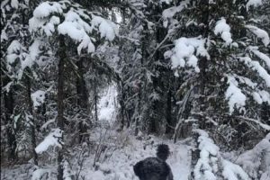 20210206192223_644959