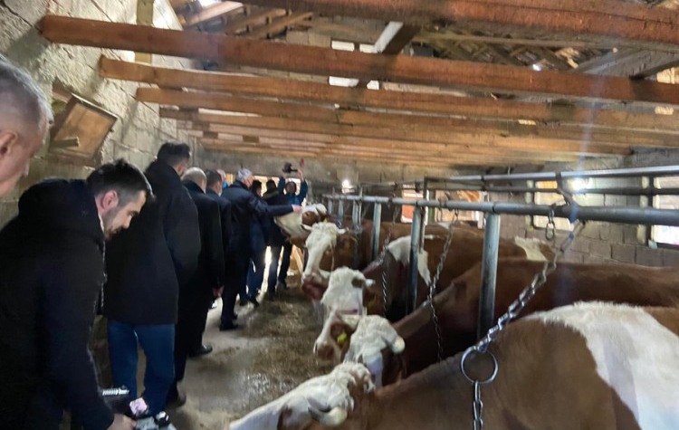 20210215154721_646472