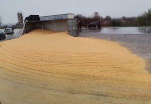 IMG-2d02e7016ad7e23d25c68186e6841201-V