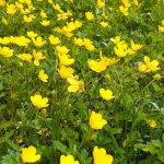 Meteorolozi najavili povratak visokih temperatura: Biće i 30 stepeni