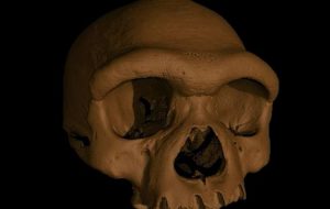 20210626133029_668572