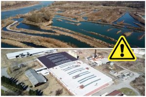 PicsArt_06-11-01.10.48_resized_20210611_023636042