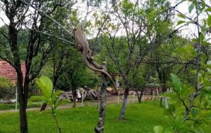 viber_image_2021-06-12_10-56-13-872x600