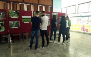 viber_image_2021-06-23_16-10-10s