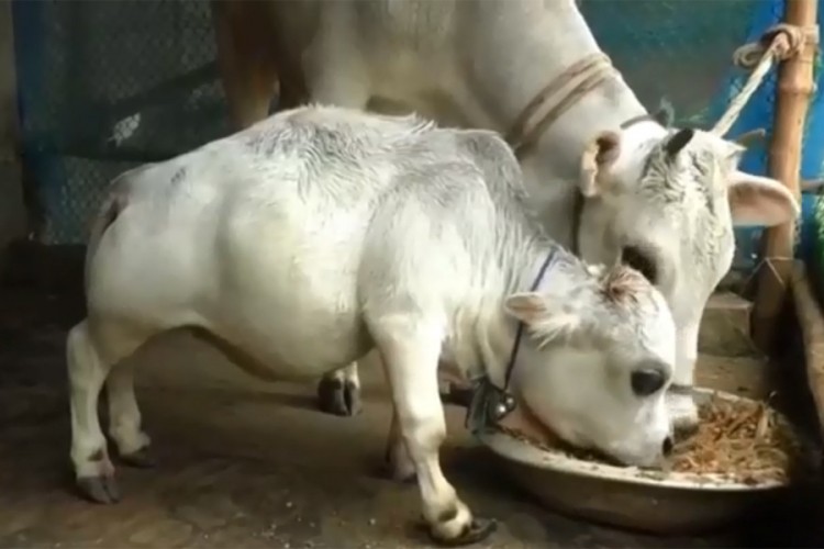 20210711161251_671071