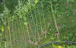 211291117_243879813908984_1567458057428651378_n-rotated