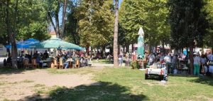 FB_IMG_1630759933965-768x364