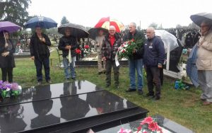 IMG-8f705a65f0fc2eda6b81ba099049dfbf-V