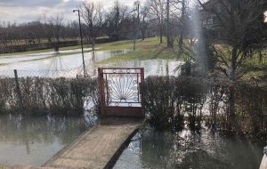 pelagicevo-6-872x610