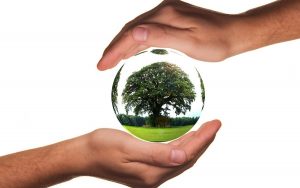 zemla-priroda-kiseonik