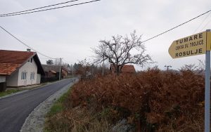 257747769_406003344210113_2081898517383772512_n