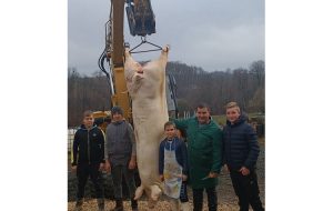 263177089_4927711620601790_8139969639948687248_n (1)