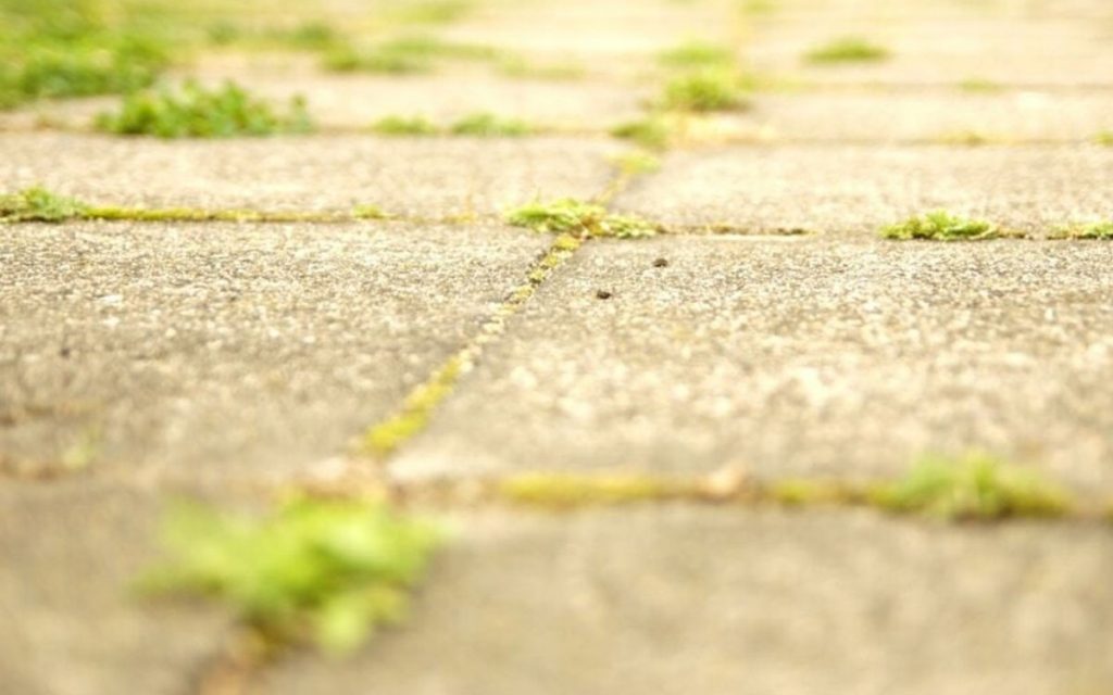 20220415144522_714416