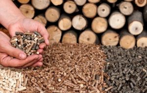 pelet-drva