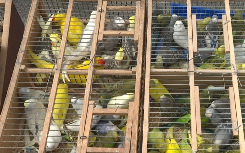 20220623155612_724163