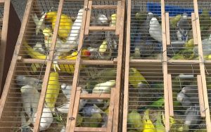 20220623155612_724163