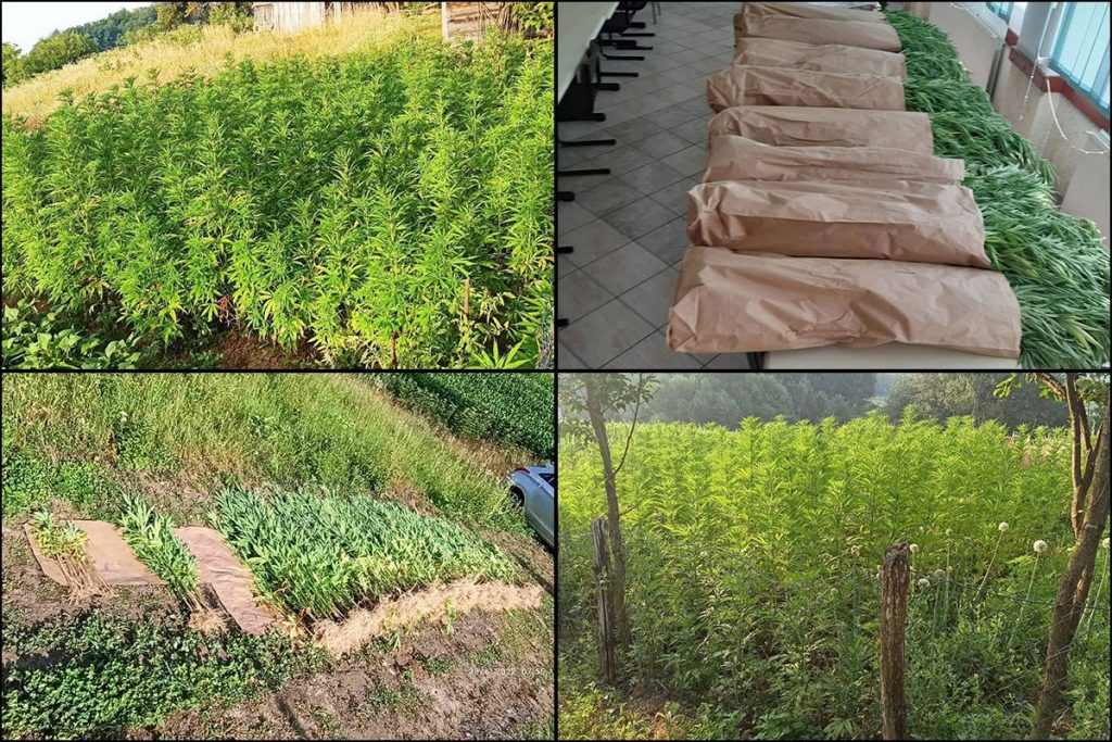 20220629102459_724893