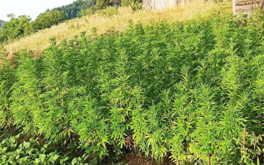 20220629190134_724975