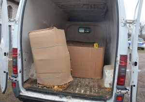 duvan-samac-1-872x610