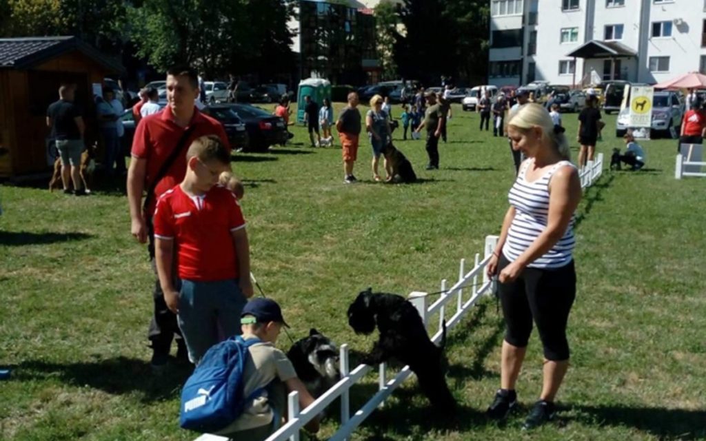 20220710162147_726336