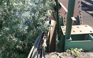 290316099_526770072575699_7720140866019280624_n