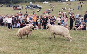 ovnovijada Vučja planina