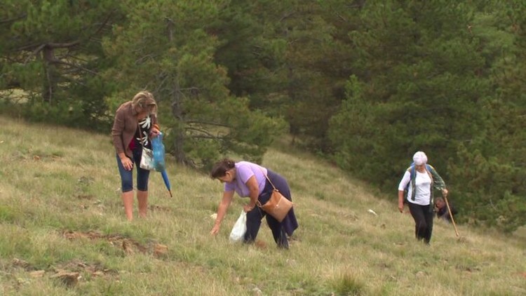 DOBOJ-BRANJE-TRAVE-IVE-768x432