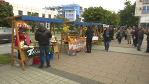 DOBOJ-POLJOKLAST-768x432