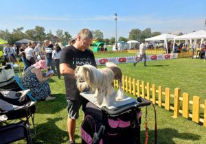 Шамац - изложба паса3