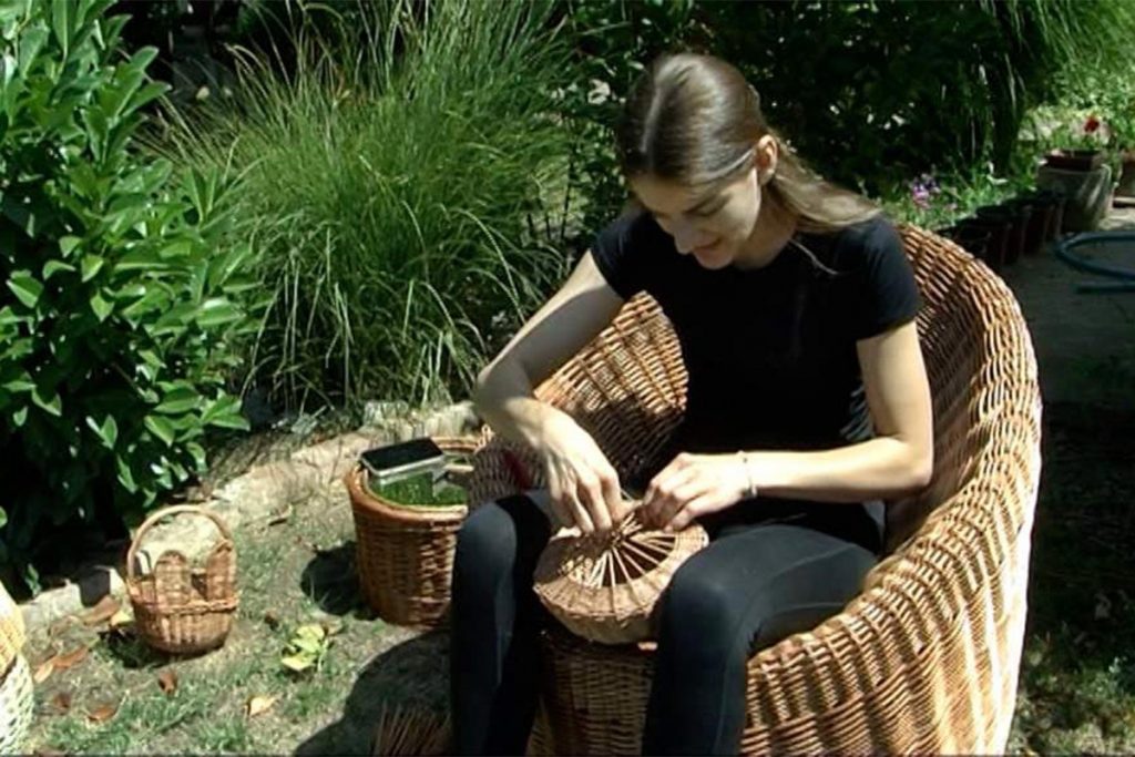 20221102165617_743369