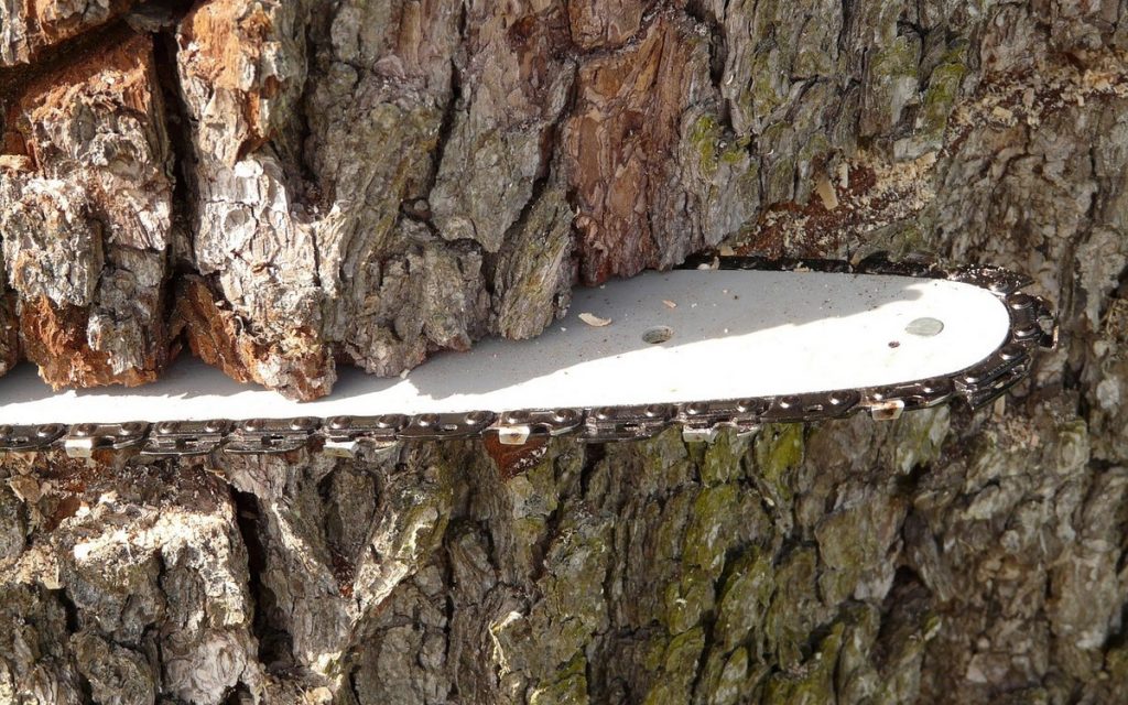 motorna pila-drvosječa-drva