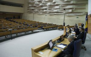 predstavnički dom-parlamentarna skupština