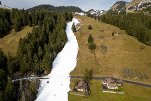 ALPI