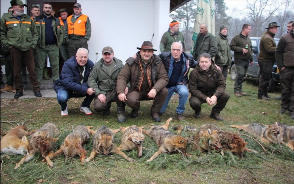 lovci-luzani.-šakalijada