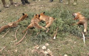 DOBOJ-SAKAL-1-768x432